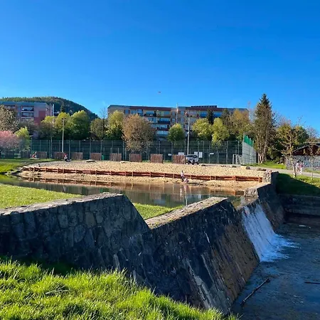 Jawor Czarnypotok