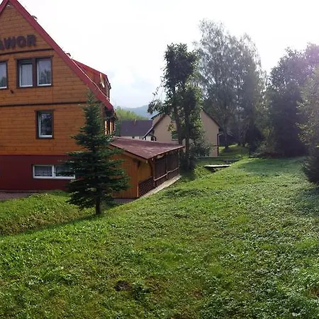 Jawor Czarnypotok *