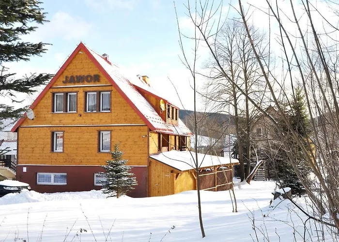 Jawor Czarnypotok * Krynica-Zdrój